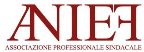 Anief logo
