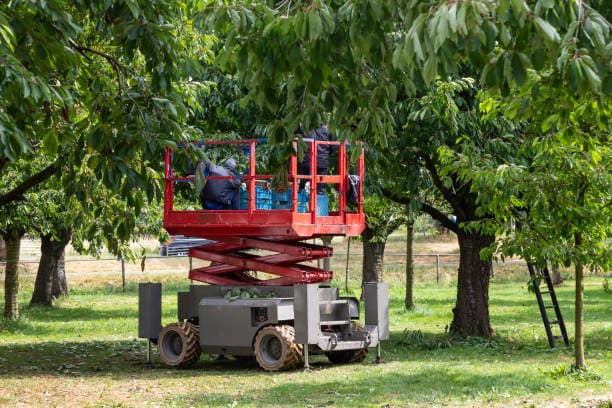 Corso per abilitazione alla conduzione della macchina agricola raccogli frutta (CRF) - 8 ore in rif. A.S.R. 2025